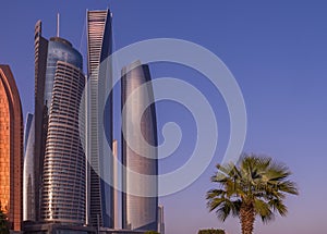Skyscrapers in Abu Dhabi with a palm tree
