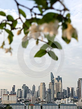 Skyscrapers, Bangkok, evening sunlight, blurred white flowers