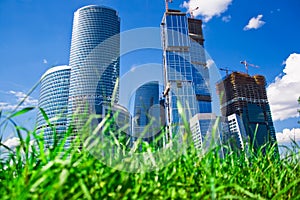 Skyscrapers and grass