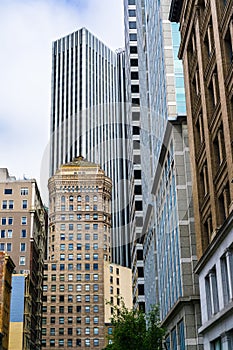 Skyscrapers and high rises built close to one another in downtown San Francisco