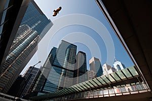 Skyscrapers in hongkong