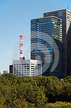 Skyscrapers of Marunouchi district, viewed from Imperial Palace gardens. Tokyo. Japan