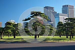 Skyscrapers of Marunouchi district, viewed through the Kokyo Gai