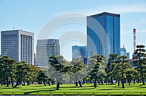 Skyscrapers of Marunouchi district, viewed through the Kokyo Gaien National Garden. Tokyo. Japan