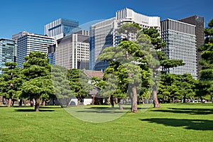 Skyscrapers of Marunouchi district, viewed through the Kokyo Gaien National Garden. Tokyo. Japan