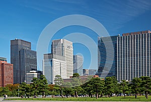 Skyscrapers of Marunouchi district, viewed through the Kokyo Gaien National Garden. Tokyo. Japan photo