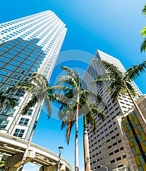 Skyscrapers and palm trees in downtown Miami on a sunny day