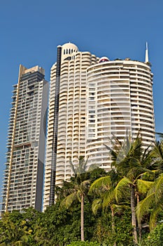 Skyscrapers in the palms