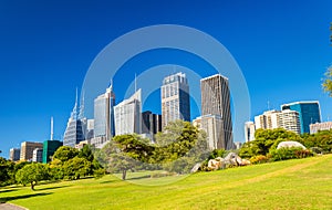 Skyscrapers of Sydney seen from Royal Botanical Garden