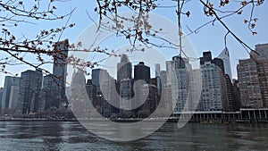Skyscrapes in Manhattan along the East River in cherry blossom season