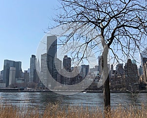 Skyscrapes in Midtown Manhattan along the East River viewed from Roosevelt Island