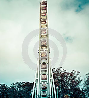 Skystar symmetry, Golden Gate Park, San Francisco