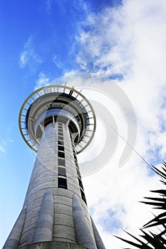 Skytower in Auckland