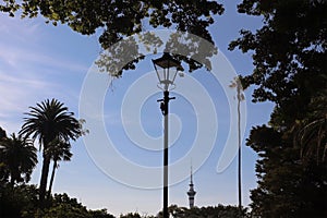 Skytower in Auckland in background with the lamp post in the front, surrounded by palm trees