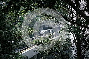 Skytrain in The HSBC Rain Vortex photo