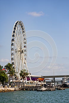 Skyviews Miami ferris wheel at Bayside Marketplace tourist attraction