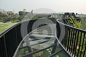 Skywalk curve bridge above outdoor recreation park