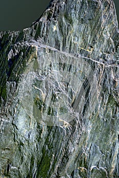 Slab of quartz phyllite