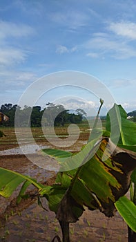 Slamet mountain so far