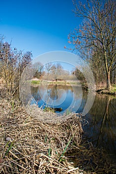 Slanaky lake with trees around and clear sky in CHKO Poodri in Czech republic photo
