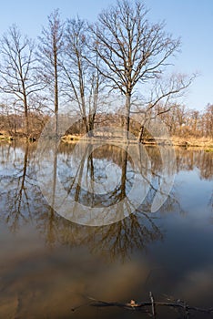 Slanaky oxbow lake in early spring CHKO Poodri in Czech republic photo