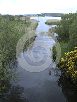 Slapton Ley Devon photo