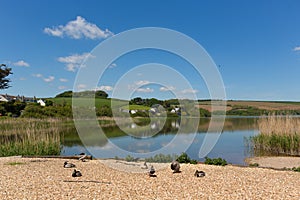 Slapton Ley nature reserve Torcross Devon photo