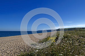 Slapton sands photo