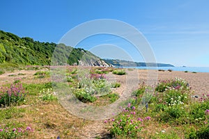 Slapton Sands, Devon