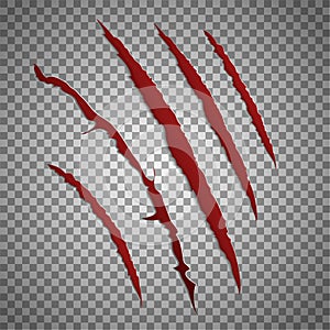 Slash scratch set on transparent background. Vector scratching beast red claw marks