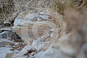 slate on the Bank of the river