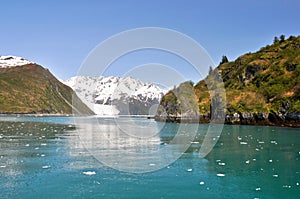 Slate island (Aialik bay), Kenai Fjords NP, Alaska