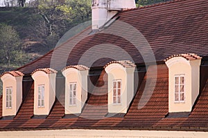 Slate roof with dormer windows.