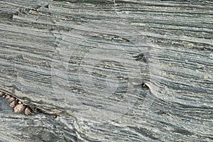 Slate and schist background texture