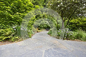 Slate Stone Garden Path with Plants