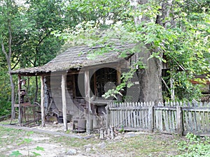 Slave Cabin at Uncle Remus Museum photo