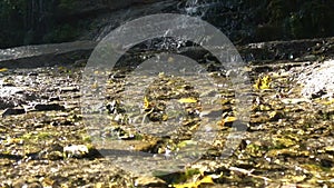 Slavonic Springs in Izborsk, Pskov region, Russia,Picturesque landscape with twelve underground pure Slavonic springs