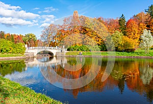 Slavyanka river in autumn in Pavlovsky park, Pavlovsk, Saint Petersburg, Russia