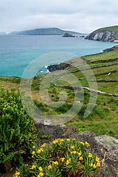 Slea Head in Dingle Peninsula