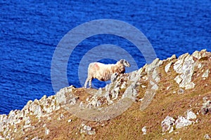 Sleave League Cliffs - Ireland