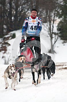 Sled Dog Racing, Donovaly, Slovakia