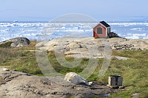 Sled dog resting in front of Disko Bay photo