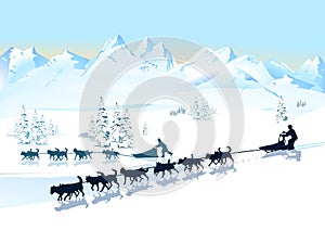 Sled racing illustration photo