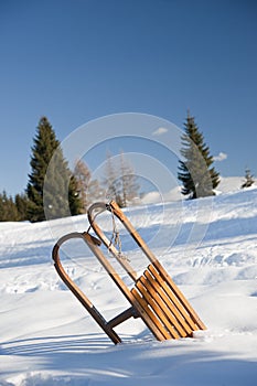 Sled on the snow