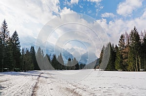 Sleddog track at the Cristallo Mountain, Italian Dolomites