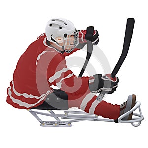 Sledge hockey