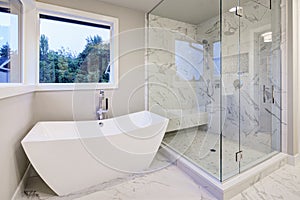 Sleek bathroom features freestanding bathtub photo