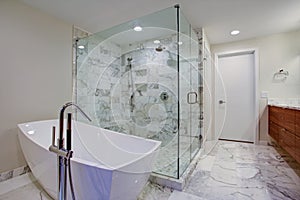 Sleek bathroom with freestanding bathtub and walk in shower photo