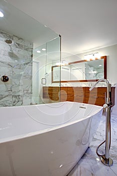 Sleek bathroom with freestanding bathtub and walk in shower photo