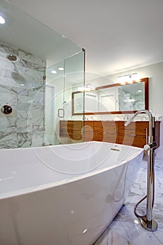 Sleek bathroom with freestanding bathtub and walk in shower